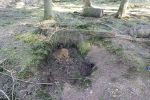PICTURES/Belgium - Battle of the Bulge - Northern Shoulder Tour/t_DSC04105.JPG